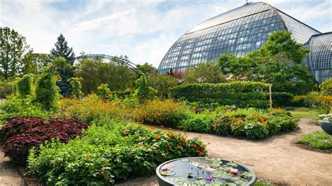 O Jardim Botânico de Garfield Park: Um Oásis Verde e Fragrância Floral no Coração de Chicago!