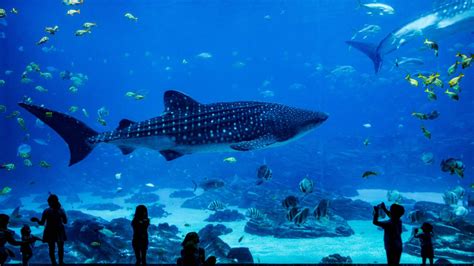 Parque Explora: Uma Jornada Insólita Entre Ciência e Diversão para Todas as Idades!